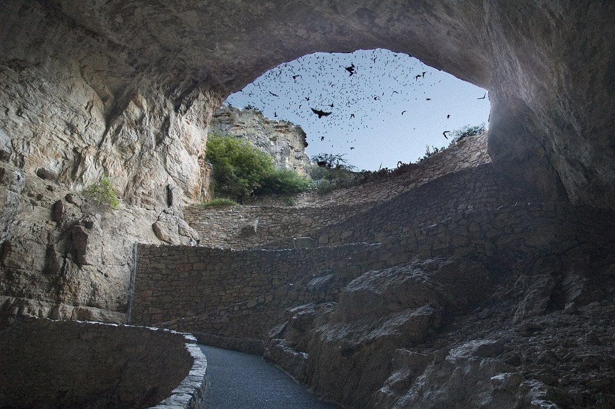 Carlsbad Cavern Bat Flight