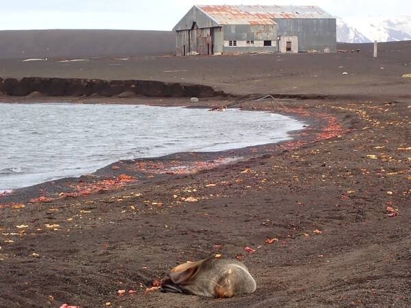 Deception Island Volcanic Beach — Antarctica