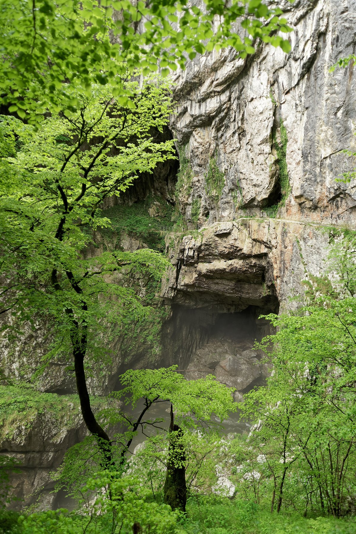 Skocjan Caves