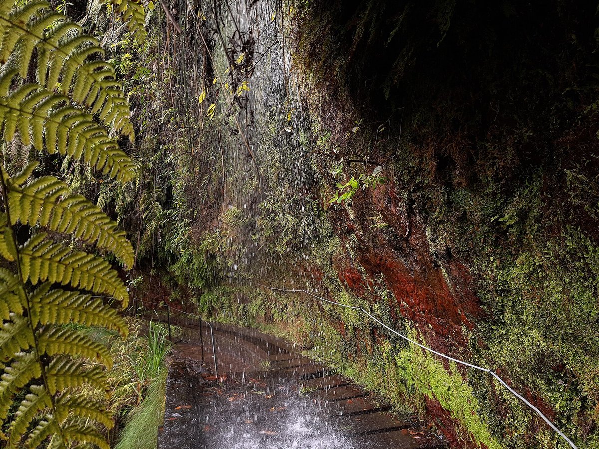 Madeira Levadas Trails