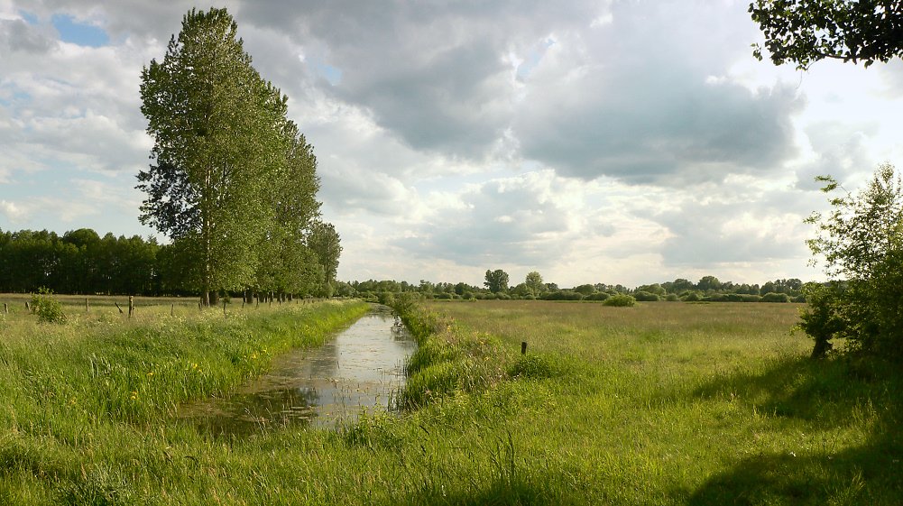 Drömling