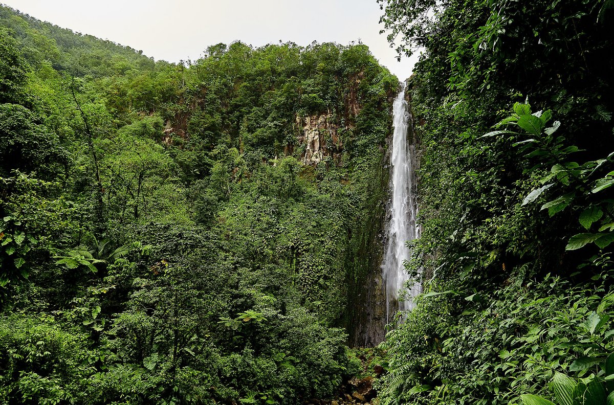 Carbet Falls — France