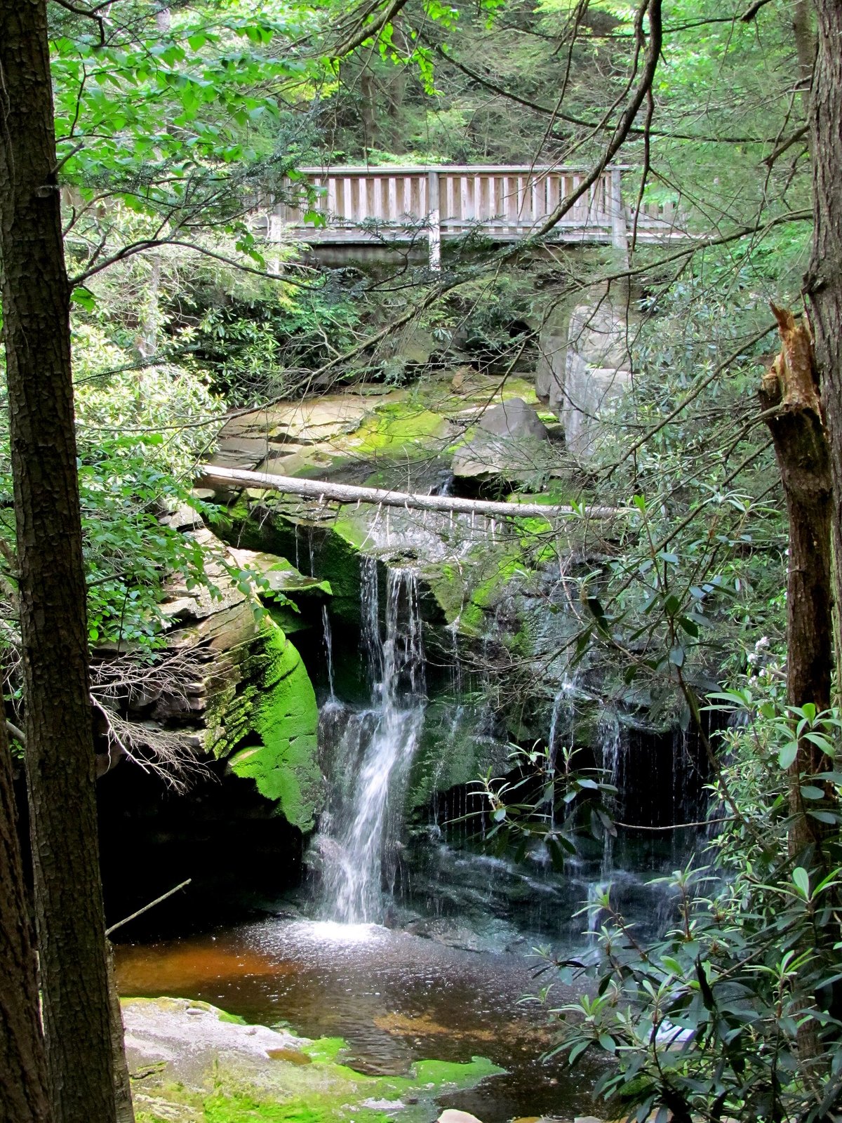 Elakala Falls — United States