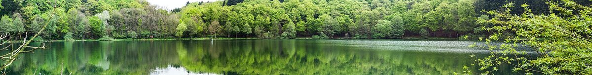 Holzmaar
