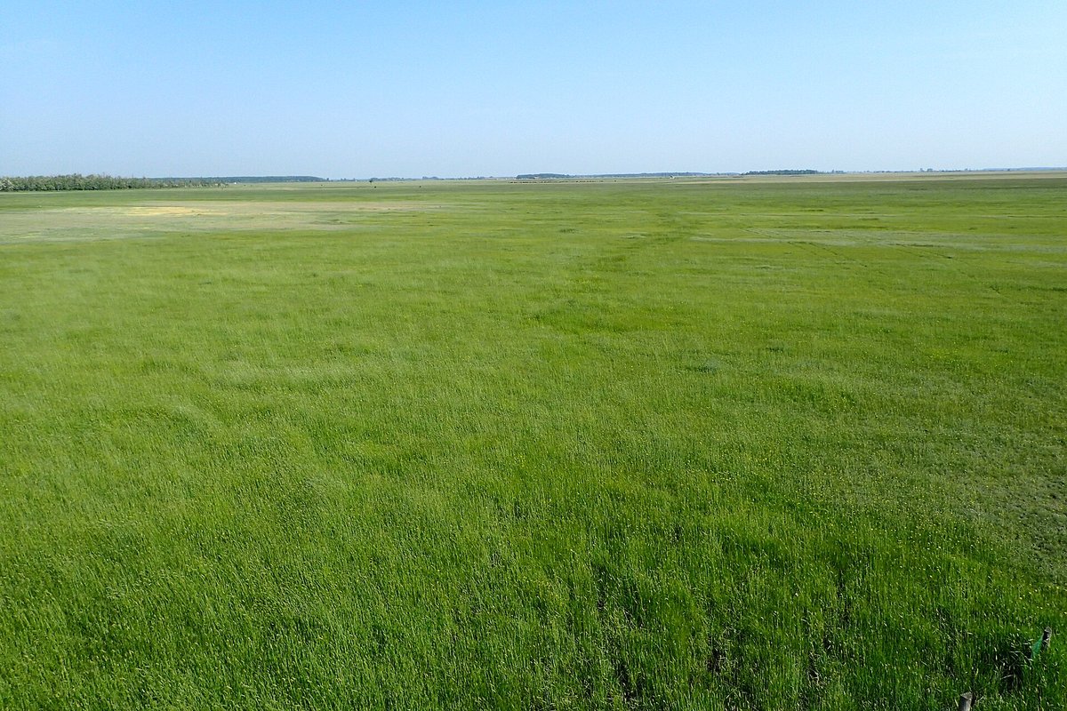 Hortobagy Puszta Plain