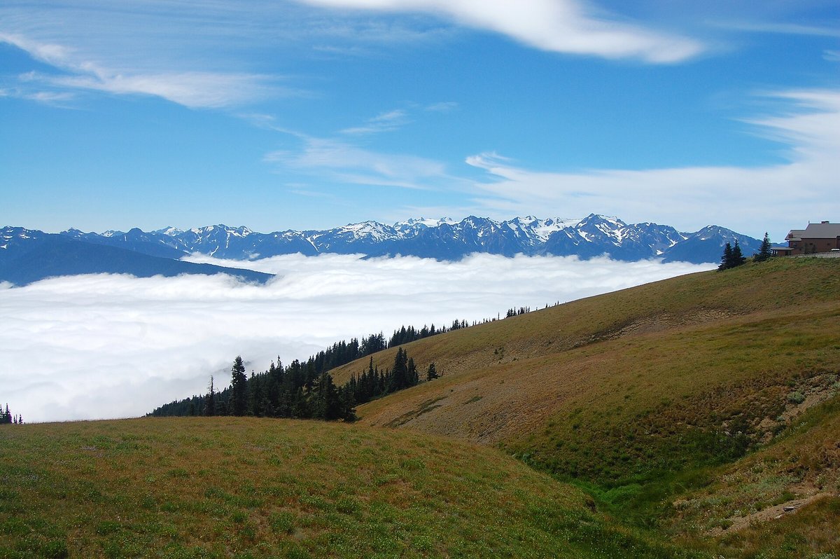 Hurricane Ridge