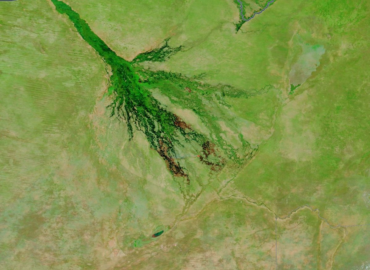 Okavango Annual Flood Arrival — Botswana