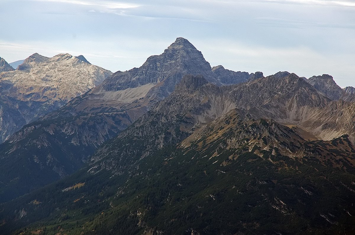 Allgäu Hochvogel — Alpine Ibex