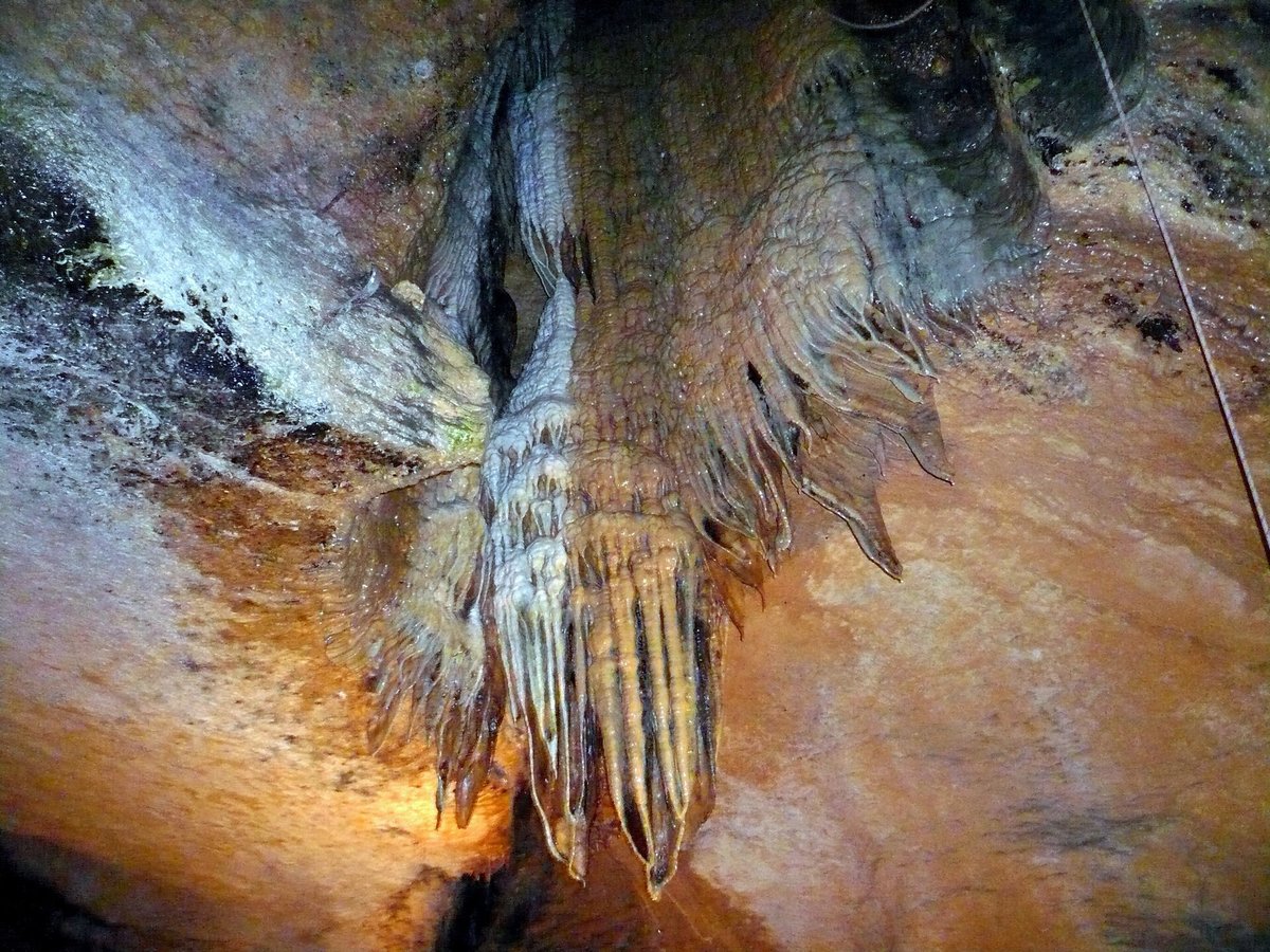 Sophienhöhle Ahorntal