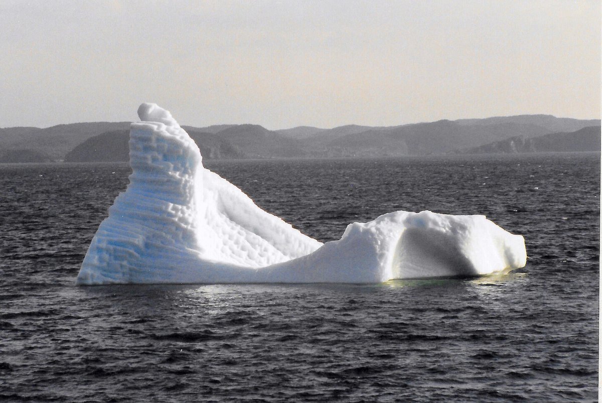 Twillingate Iceberg Alley