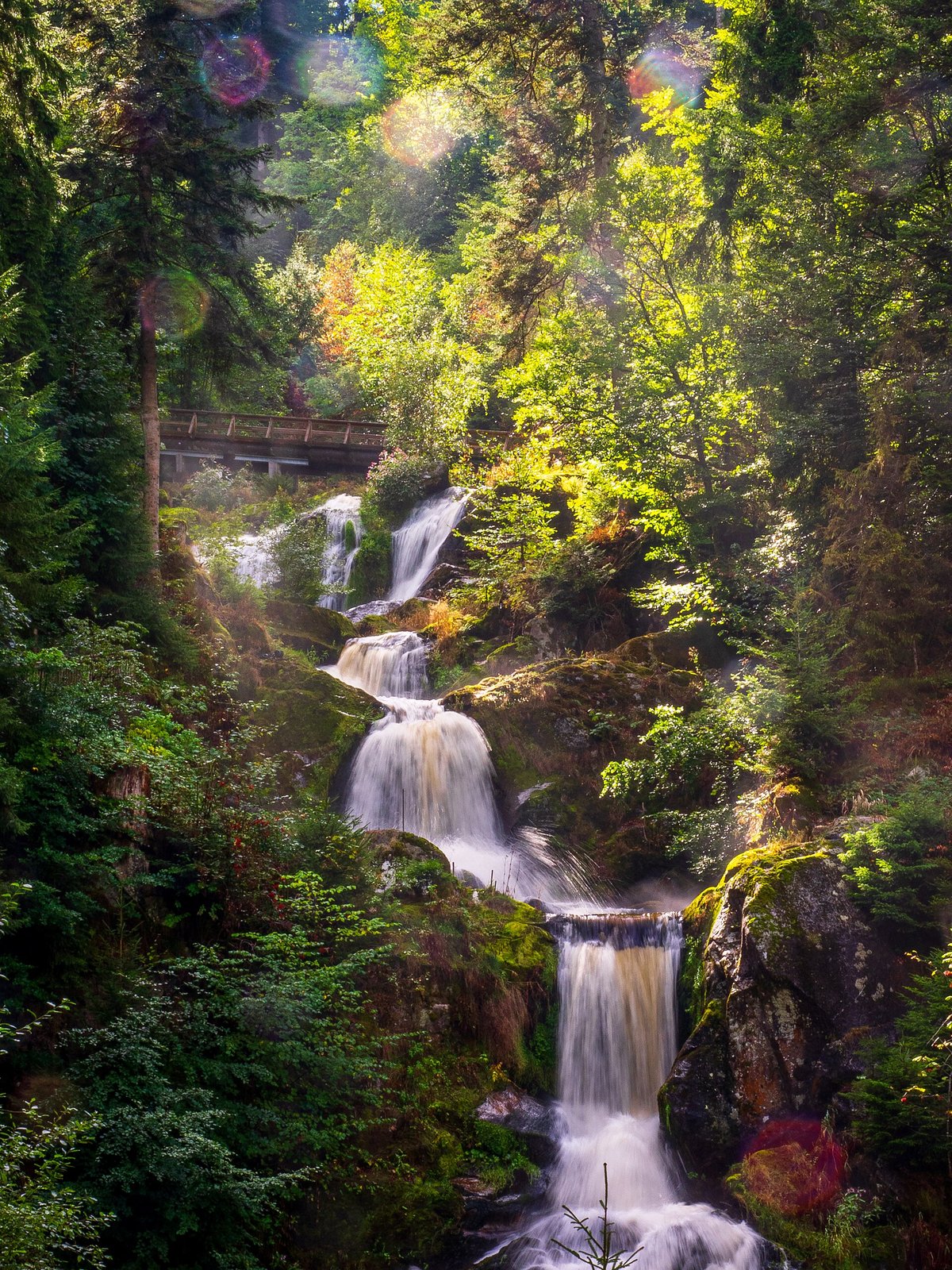 Triberger Wasserfälle