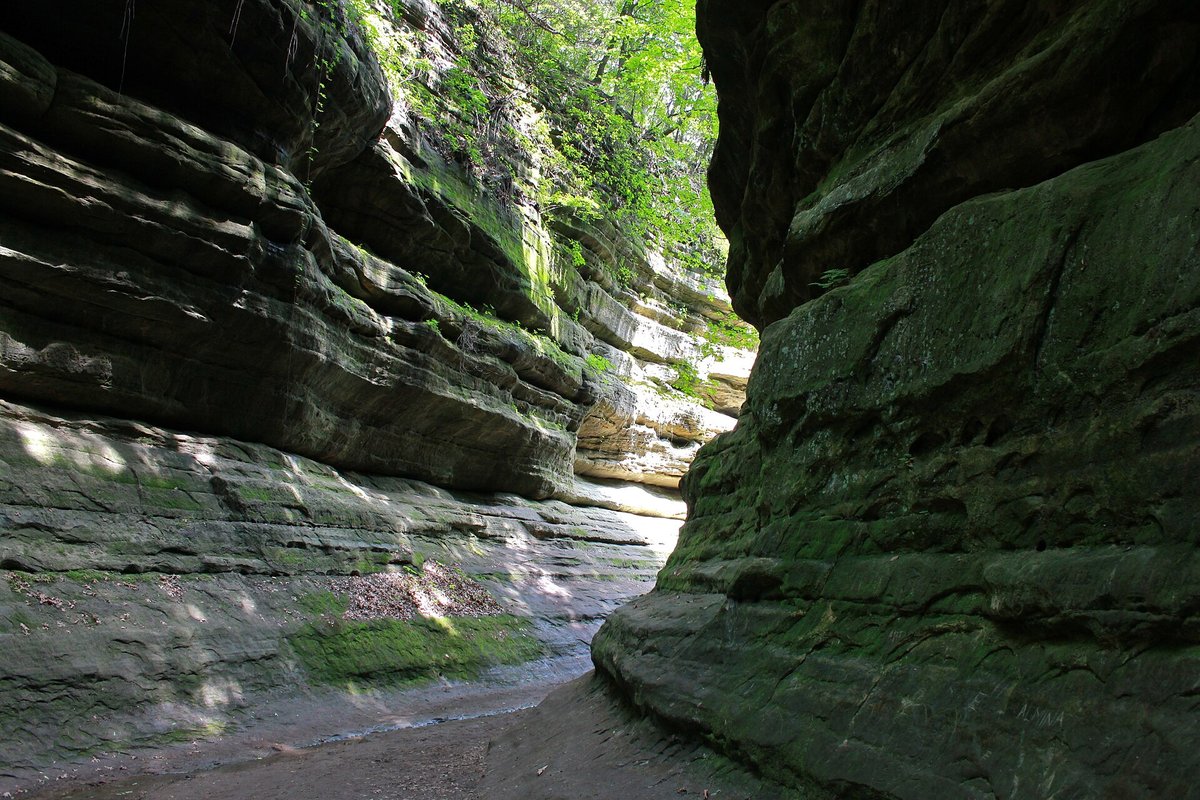 Starved Rock Canyons