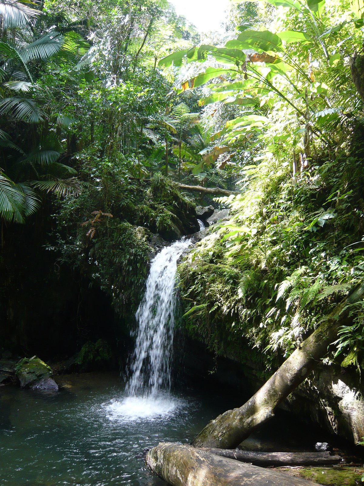 La Mina Falls