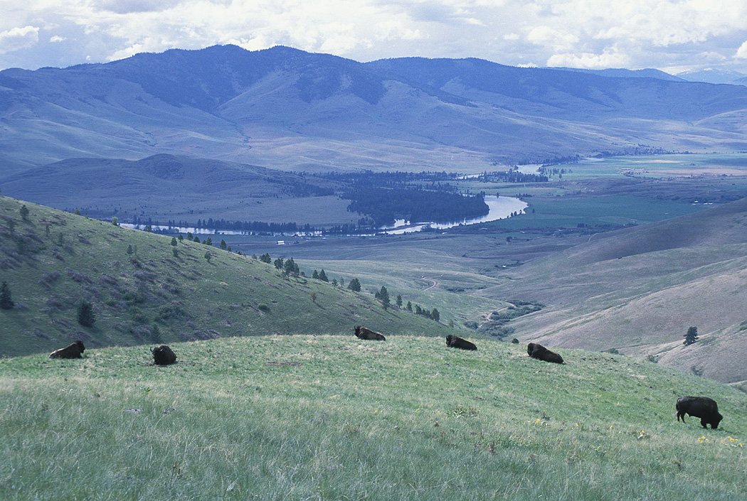 National Bison Range