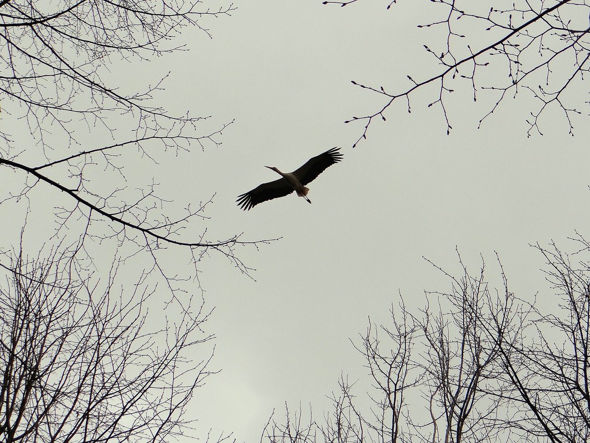 Stork Village — Kozloduy Bulgaria