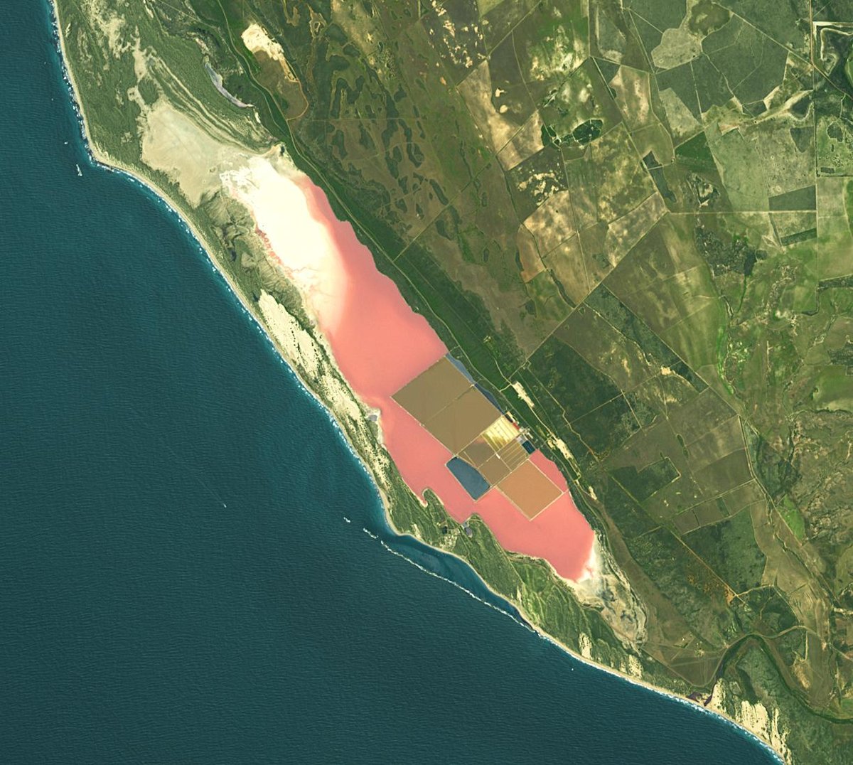 Pink Lake Hutt Lagoon — Western Australia