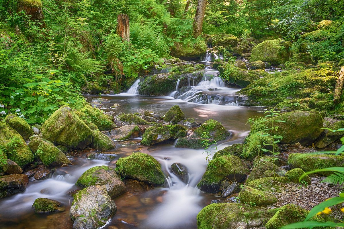 Ravennaschlucht