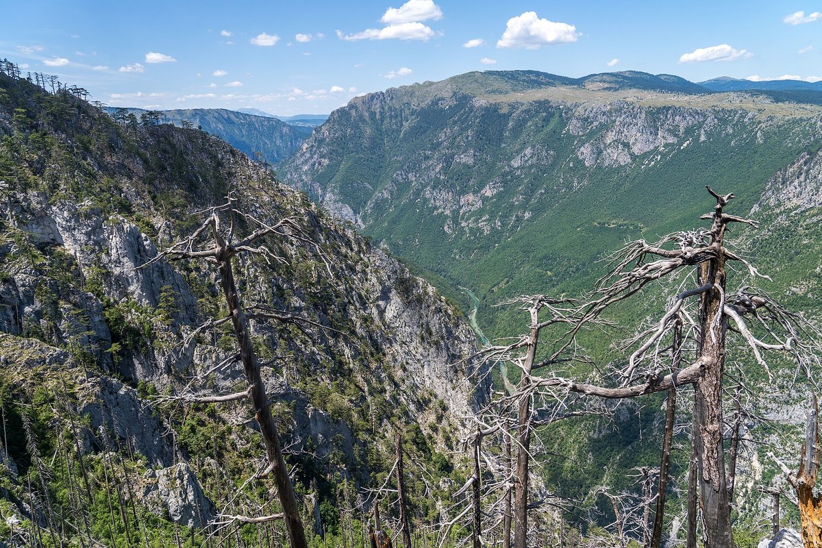 Tara Canyon