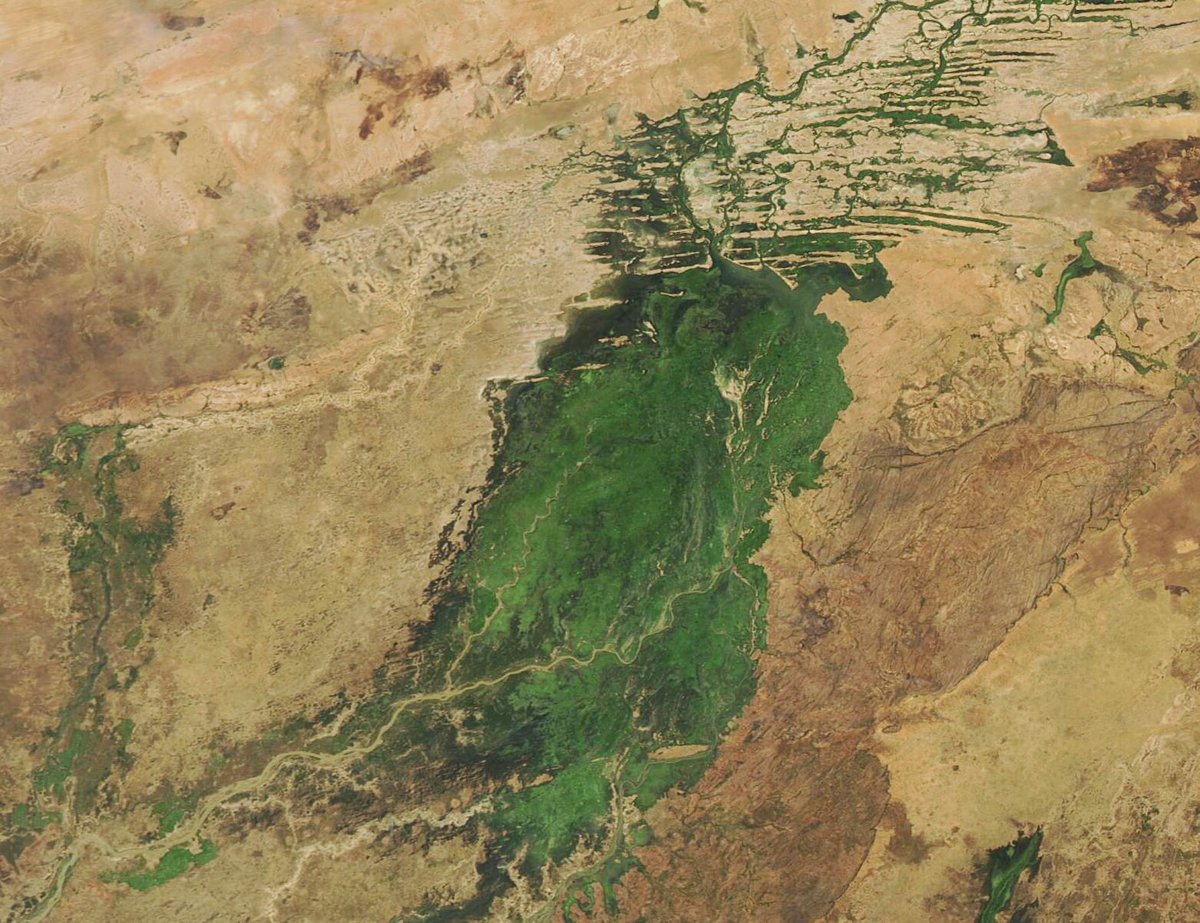 Inner Niger Delta Wetland — Mali
