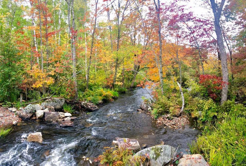 New England Fall Foliage Peak — Vermont USA