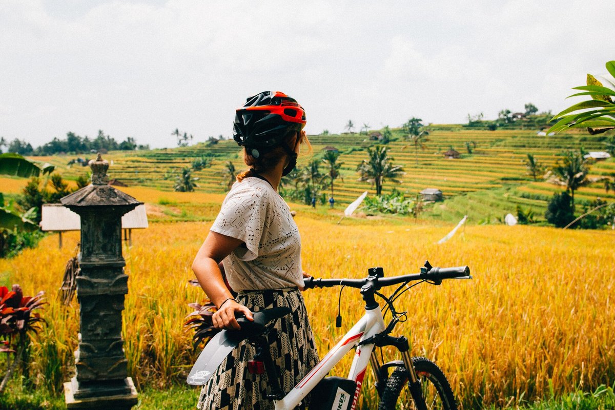 Bali Rice Terrace Harvest Season — Jatiluwih