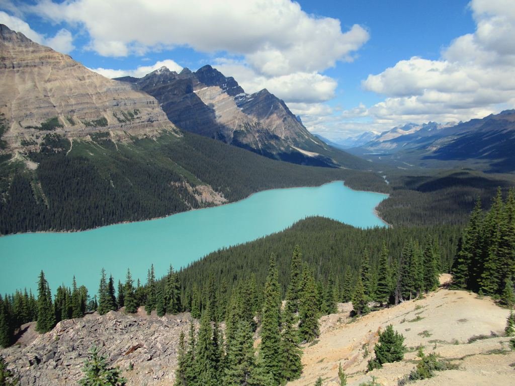 Peyto Lake Bow Summit