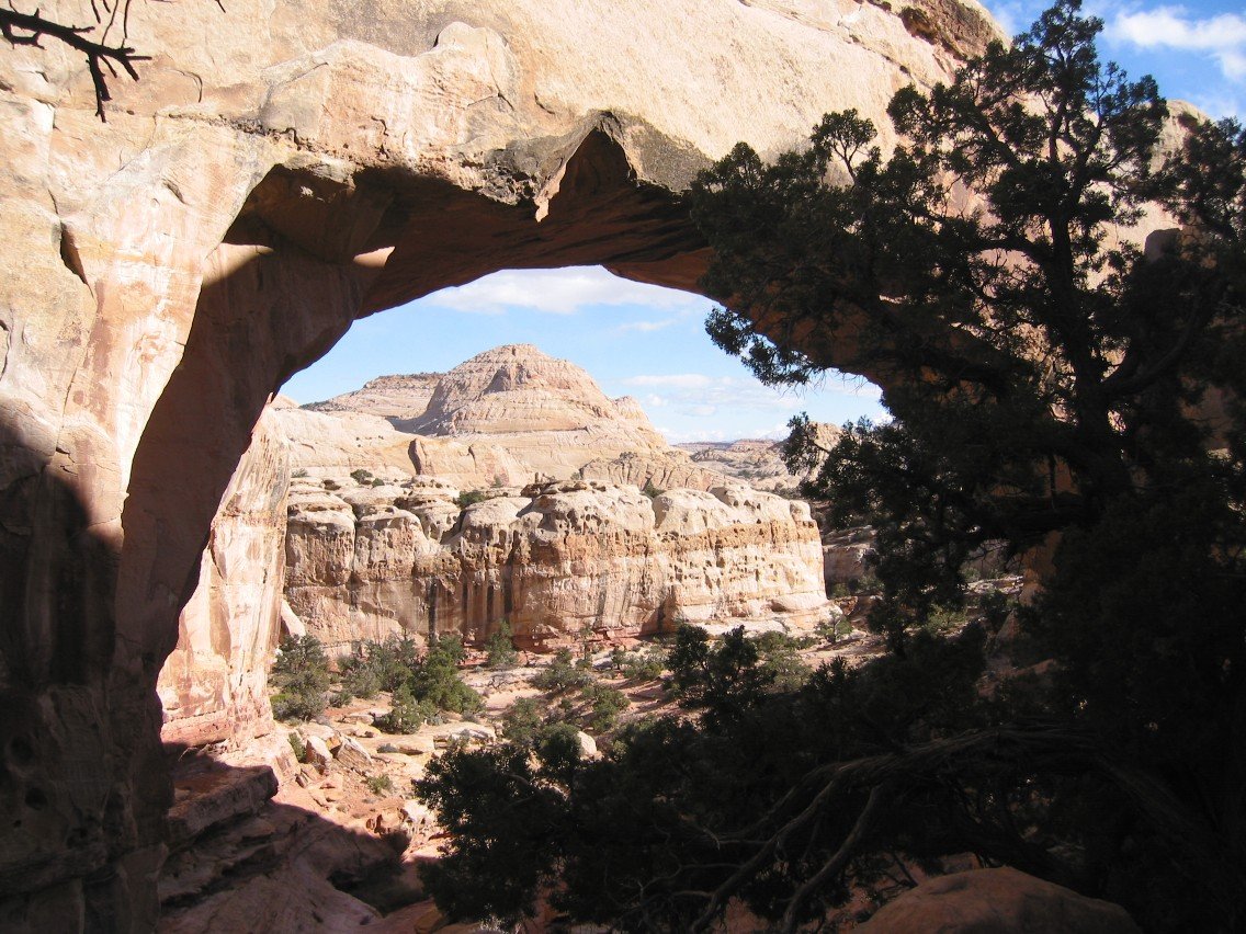Capitol Reef Hickman Bridge