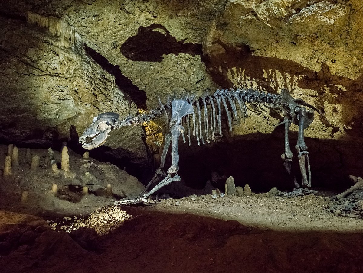 Teufelshöhle Pottenstein