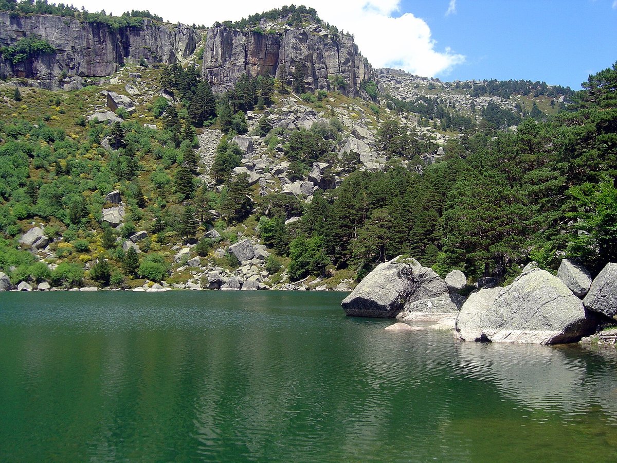 Pinares de Urbión