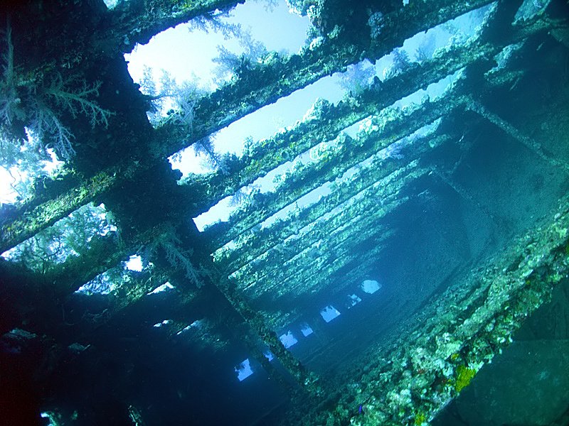 Sha'ab Abū Nuhās Coral Reef — Egypt