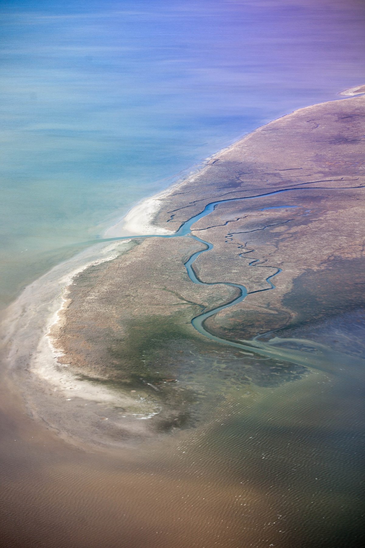 Boschplaat Terschelling