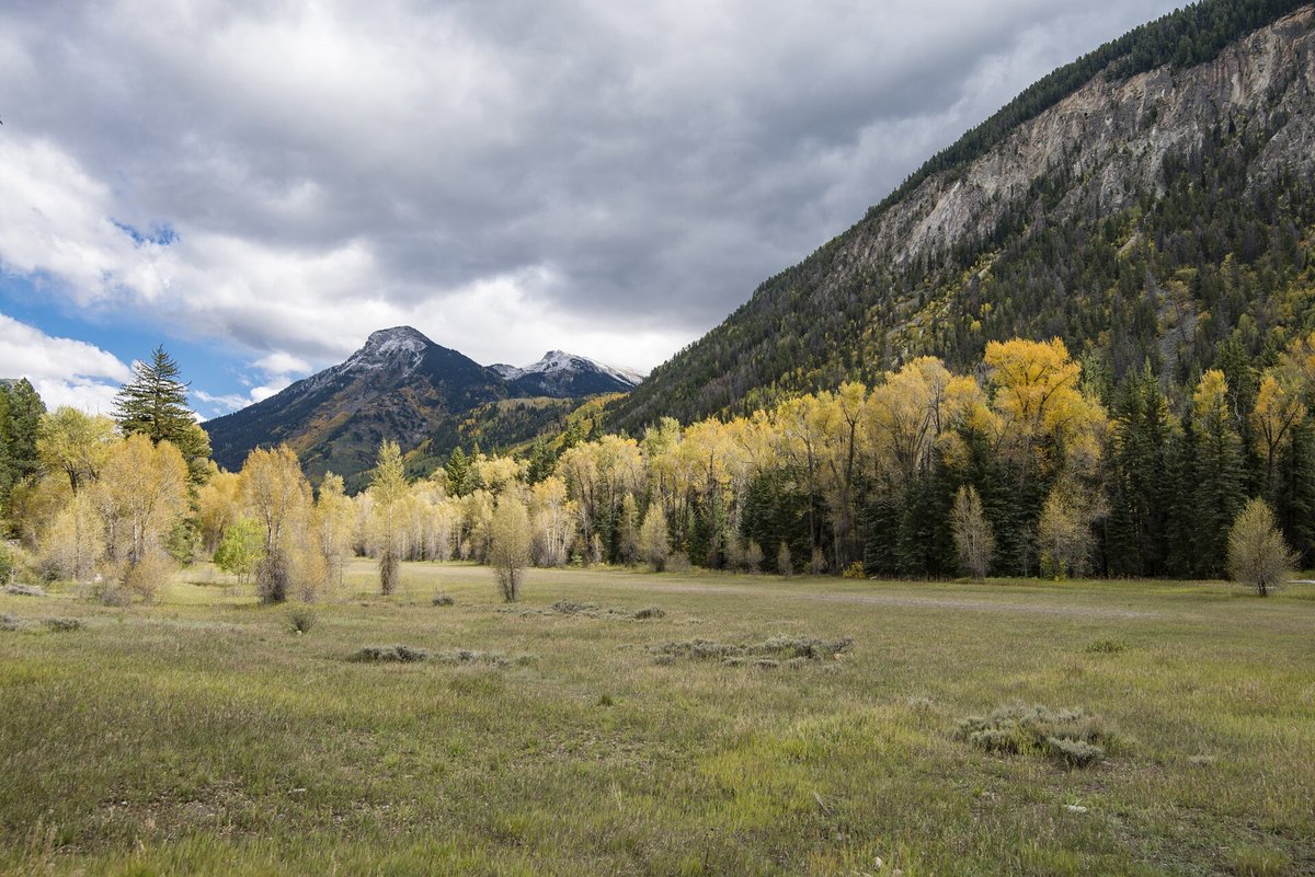 Independence Pass Aspen Drive