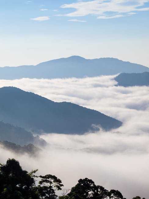 Daegwallyeong Sea of Clouds