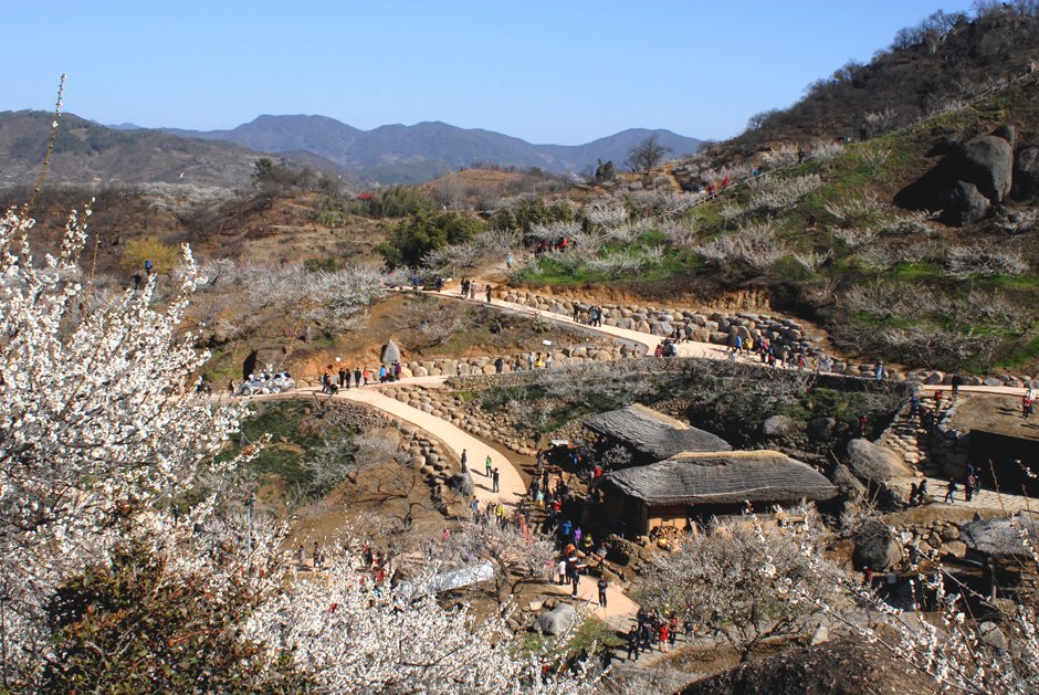 Gwangyang Maehwa Plum Village