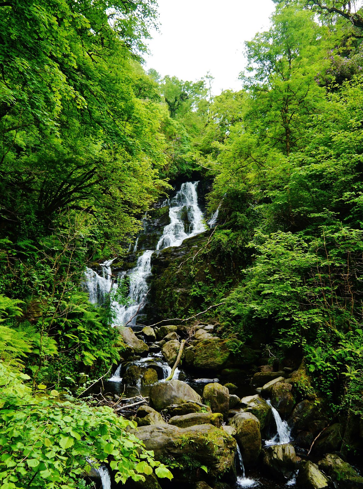 Torc Waterfall — Ireland