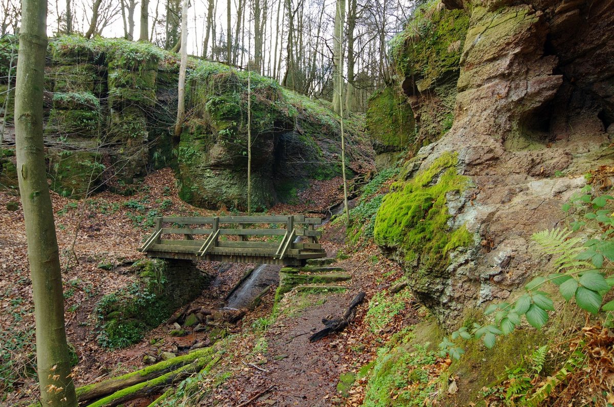 Wolfsschlucht