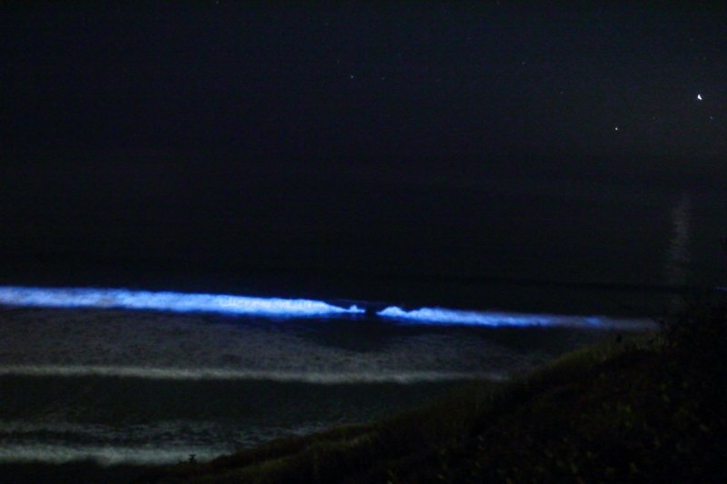 Bioluminescent Surf — Tomales Bay California USA