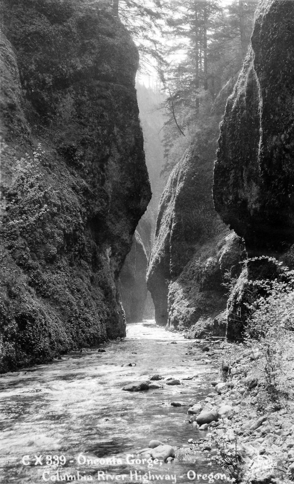 Oneonta Gorge