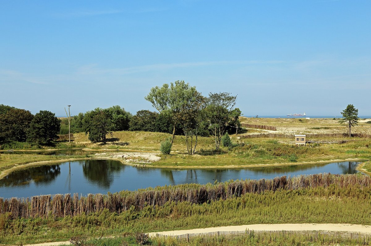Het Zwin Nature Reserve