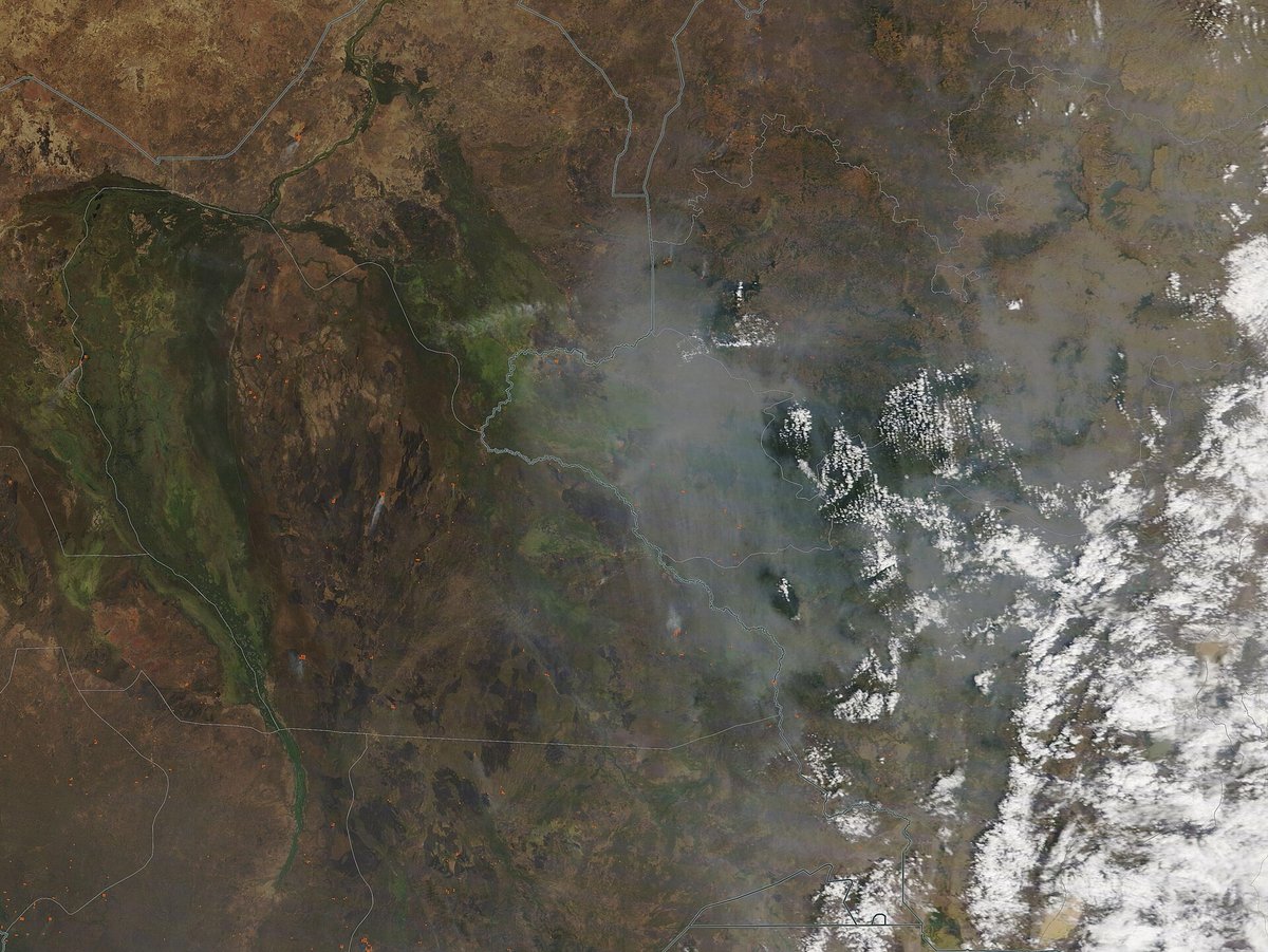 African Savanna Controlled Burn — Kruger South Africa