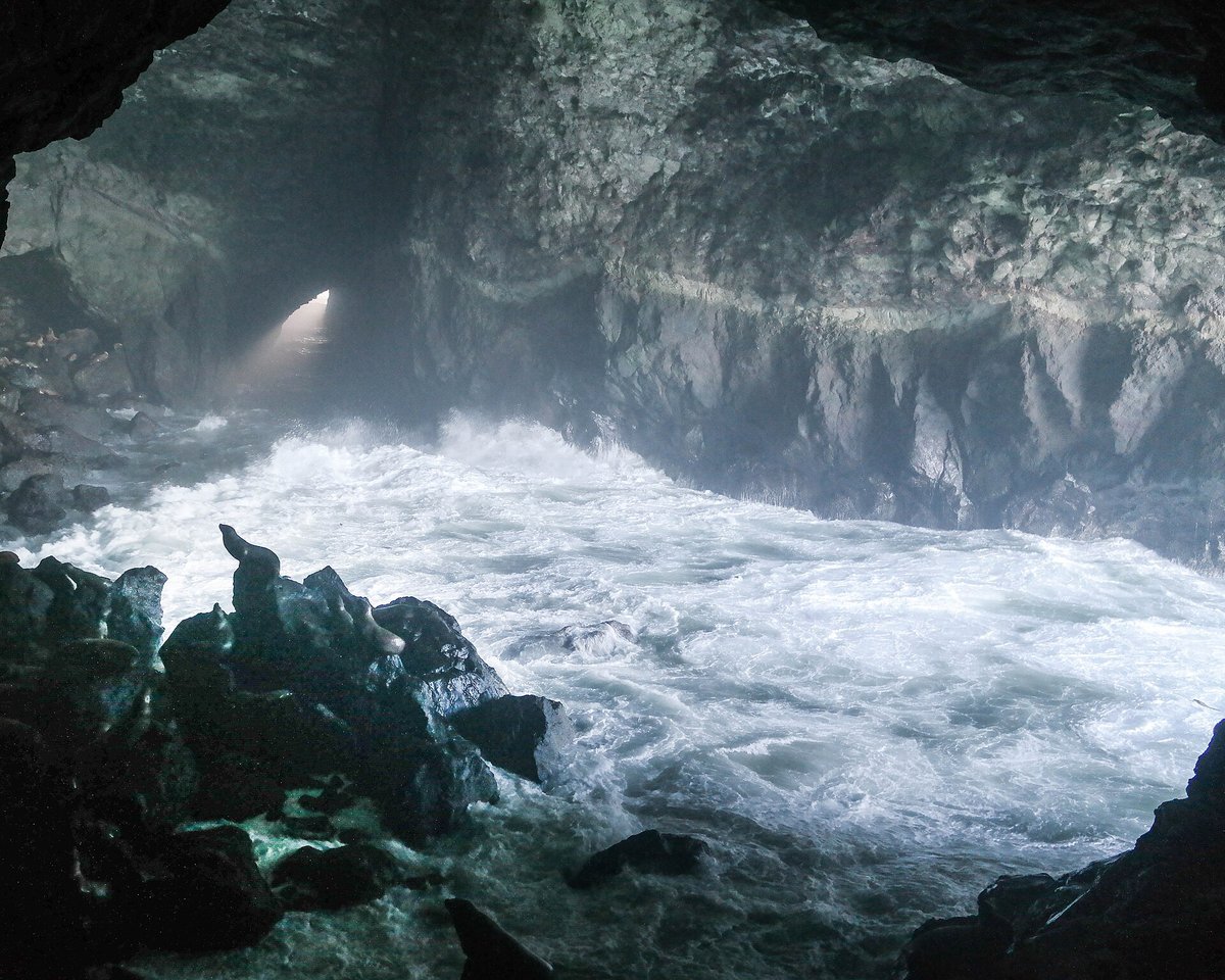 Sea Lion Caves