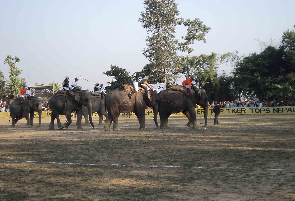 Elephant Polo Season — Thakurdwara Nepal