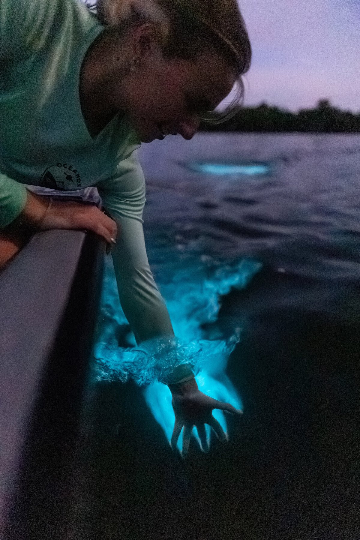 Bioluminescent Bay Plankton — Vieques Puerto Rico