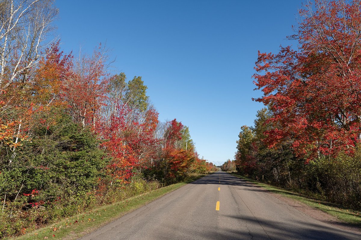 Autumn Foliage — White Mountains New Hampshire USA