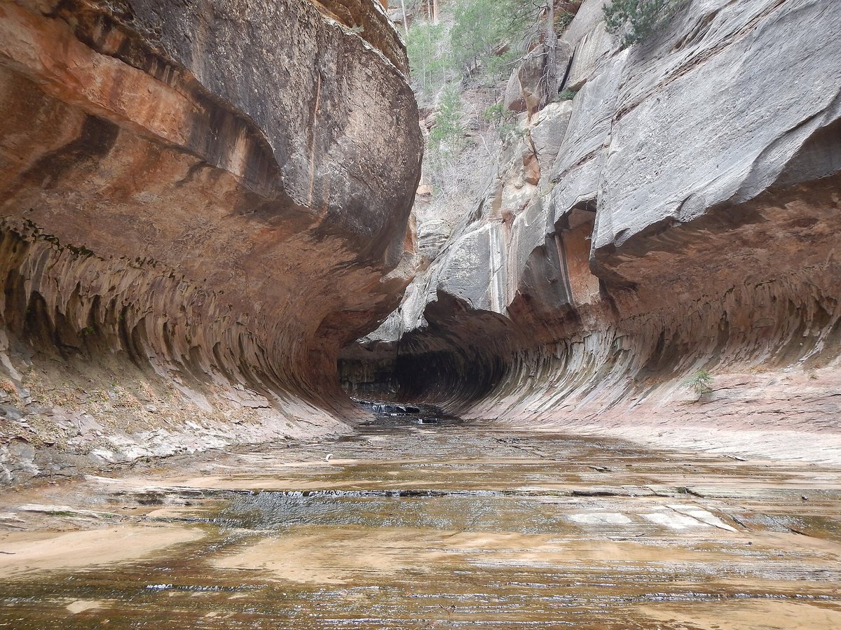Zion Subway
