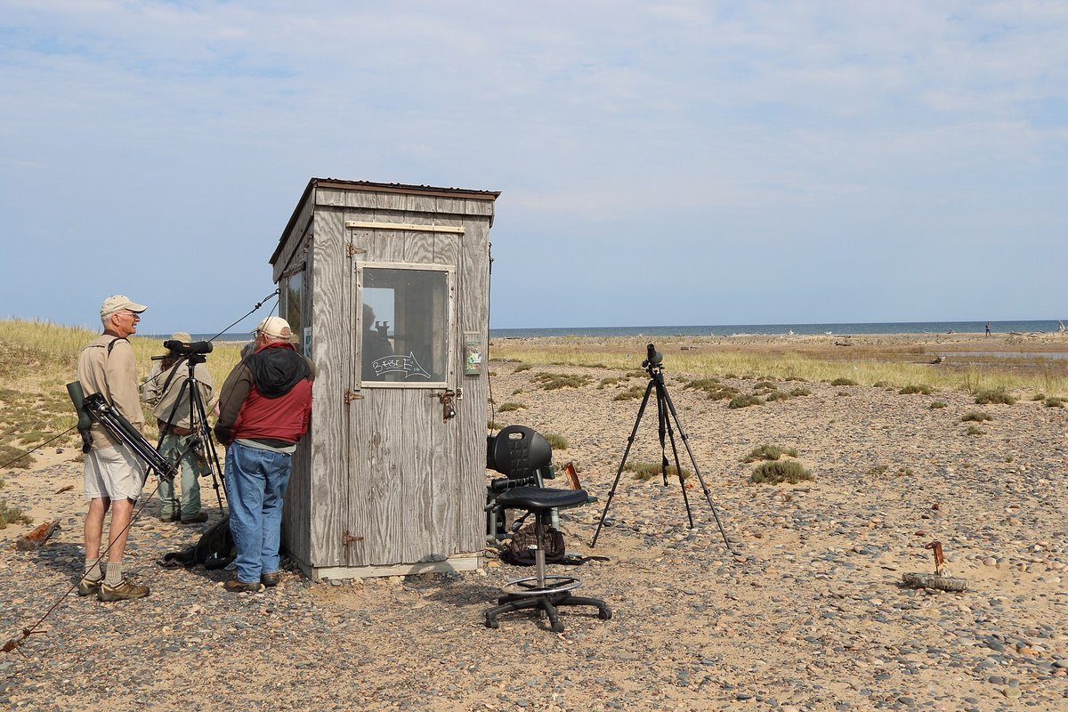 Whitefish Point Bird Observatory