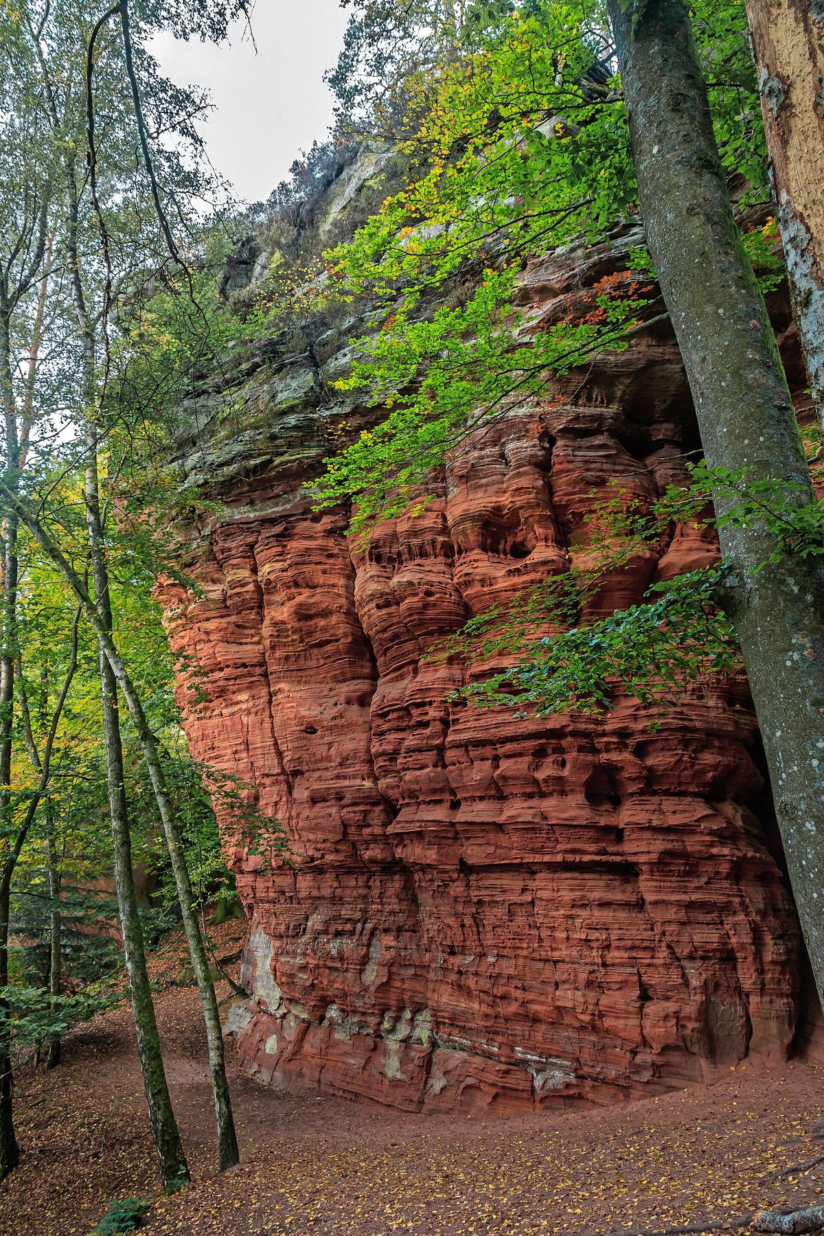 Altschlossfelsen