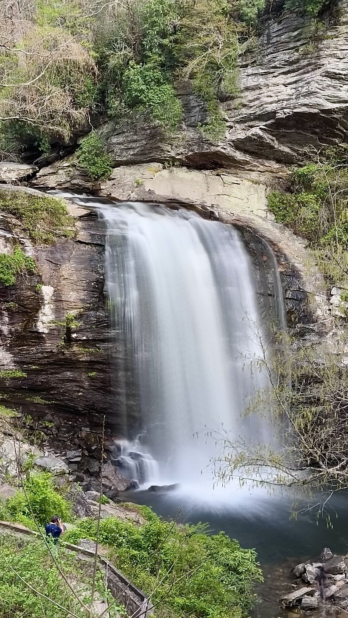 Looking Glass Falls