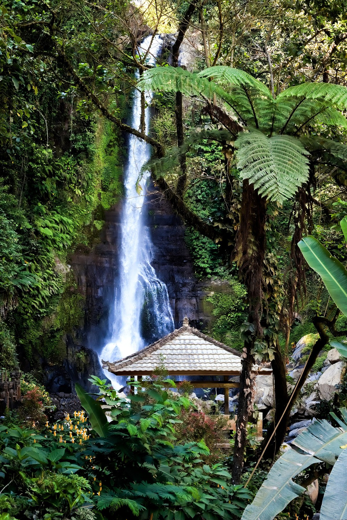 Gitgit Waterfall — Indonesia