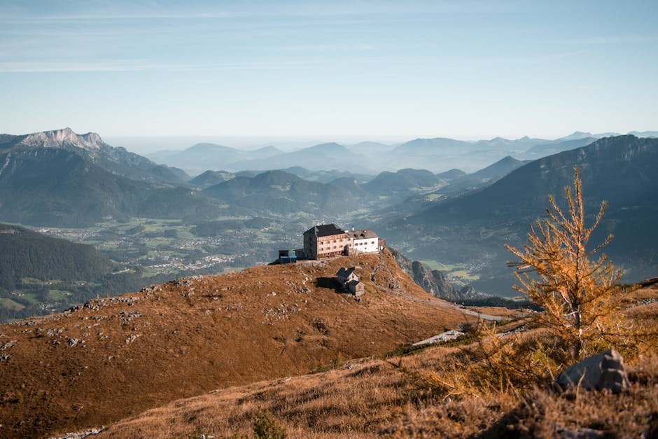 Lärchen-Goldfärbung Berchtesgaden